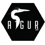 Aigars OÜ Aigur Ehitus logo