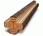 Timber Expert OÜ logo